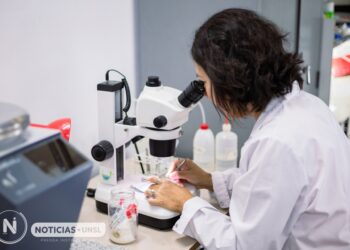 UNSL: ESTUDIAN LA INTEGRIDAD ECOLÓGICA DE LOS RÍOS DE SAN LUIS