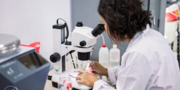 UNSL: ESTUDIAN LA INTEGRIDAD ECOLÓGICA DE LOS RÍOS DE SAN LUIS