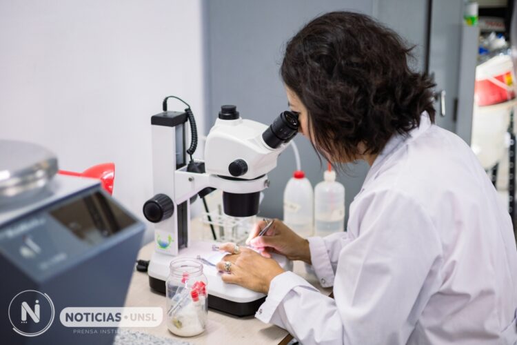 UNSL: ESTUDIAN LA INTEGRIDAD ECOLÓGICA DE LOS RÍOS DE SAN LUIS