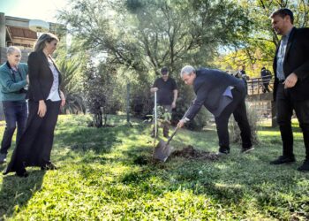 UNLC: INICIATIVA DE LA RUC: FORESTACIÓN CON LAS UNIVERSIDADES