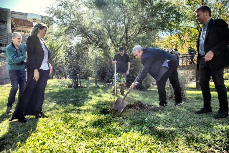 UNLC: INICIATIVA DE LA RUC: FORESTACIÓN CON LAS UNIVERSIDADES