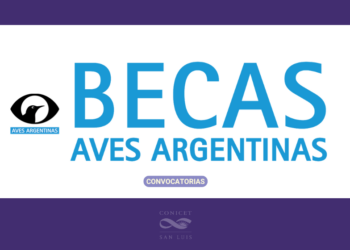 BECAS AVES ARGENTINAS 2025