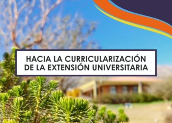 HACIA LA CURRICULARIZACIÓN DE LA EXTENSIÓN EN VILLA DE MERLO Y VILLA MERCEDES