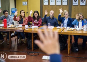 UNSL: APROBARON LA CREACIÓN DE LA LICENCIATURA EN TERAPIA OCUPACIONAL