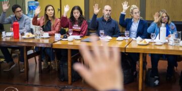UNSL: APROBARON LA CREACIÓN DE LA LICENCIATURA EN TERAPIA OCUPACIONAL