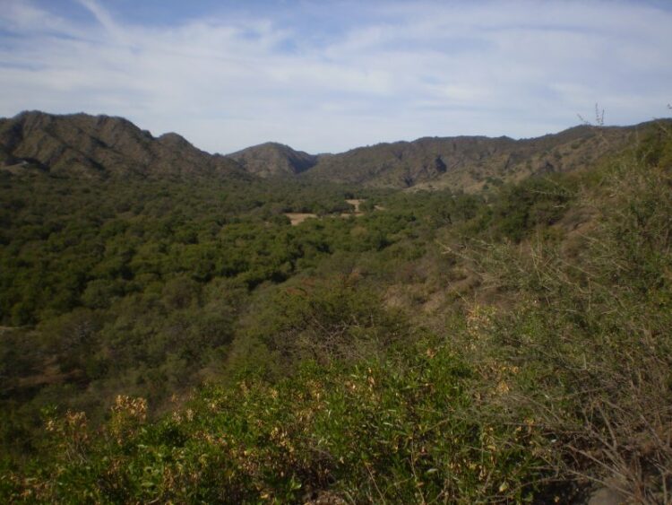 COMPARTIRÁN EL VALOR CIENTÍFICO DEL BAJO DE VÉLIZ CON UNA CAMINATA EXPERIMENTAL