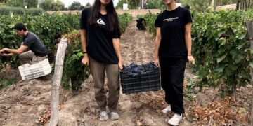 LA UNCUYO IMPULSA LA BÚSQUEDA DE FONDOS PARA LA BODEGA PILOTO DEL LICEO AGRÍCOLA