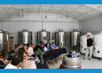 CONICET SAN LUIS PARTICIPA DE LA PRIMERA MESA VITIVINÍCOLA PROVINCIAL