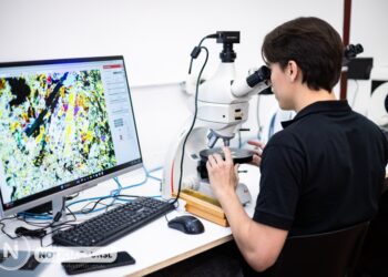 INVESTIGACIÓN DE LA UNSL CONTRIBUYE AL ESTUDIO DE LOS RECURSOS MINERALES DE SAN LUIS