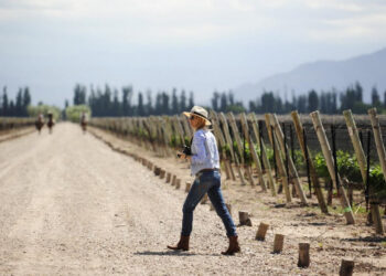ENCUENTRO INTERNACIONAL DE ENOTURISMO REUNIRÁ A REFERENTES GLOBALES DEL SECTOR
