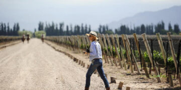 ENCUENTRO INTERNACIONAL DE ENOTURISMO REUNIRÁ A REFERENTES GLOBALES DEL SECTOR
