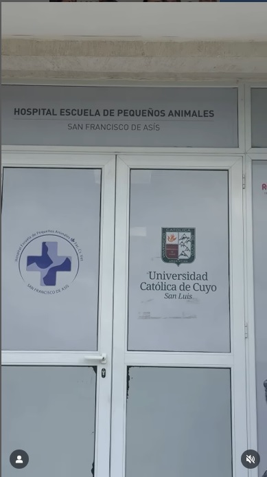 UCCUYO-SL: PEQUEÑOS ANIMALES “SAN FRANCISCO DE ASÍS”