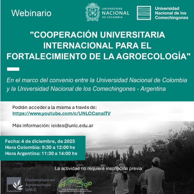 ENCUENTRO VIRTUAL ENTRE LA UNIVERSIDAD NACIONAL DE COLOMBIA Y LA UNIVERSIDAD NACIONAL DE LOS COMECHINGONES