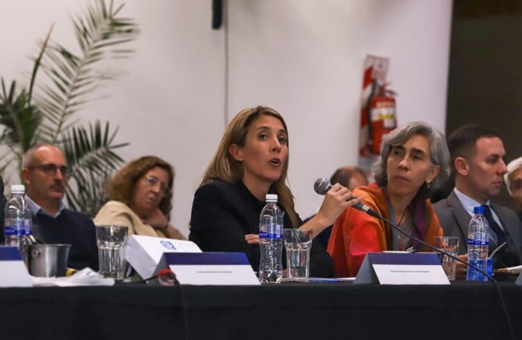 EL CIN CELEBRA 40 AÑOS CON UN PLENARIO EXTRAORDINARIO DE DEBATE Y PROYECCIÓN