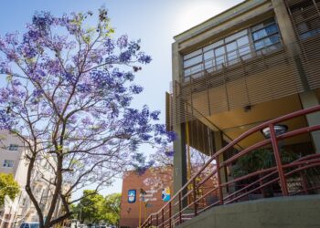 LA UNSL CONSOLIDA SU POLÍTICA CIENTÍFICA CON 240 PROYECTOS DE INVESTIGACIÓN APROBADOS