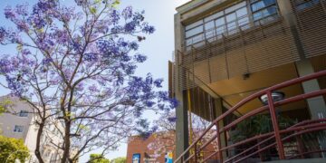 LA UNSL CONSOLIDA SU POLÍTICA CIENTÍFICA CON 240 PROYECTOS DE INVESTIGACIÓN APROBADOS