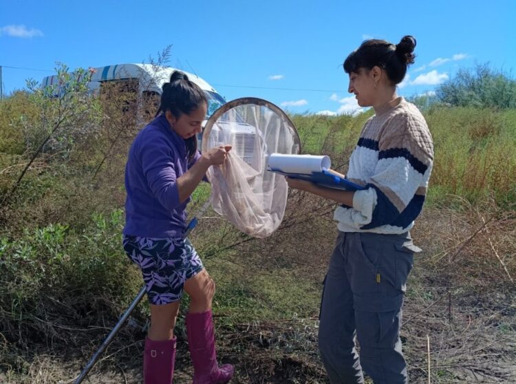 ESTUDIANTES DE CIENCIAS AMBIENTALES REALIZARON MUESTREOS BIOLÓGICOS EN EL RÍO CONLARA