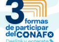 ¡REPASO CONAFO 2026! TODO LO QUE TENÉS QUE SABER HASTA AHORA.