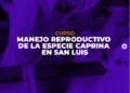 UCCUYO-SL: CAPACITATE EN MANEJO REPRODUCTIVO DE LA ESPECIE CAPRINA EN SAN LUIS