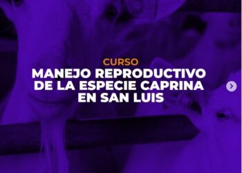 UCCUYO-SL: CAPACITATE EN MANEJO REPRODUCTIVO DE LA ESPECIE CAPRINA EN SAN LUIS