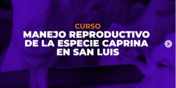 UCCUYO-SL: CAPACITATE EN MANEJO REPRODUCTIVO DE LA ESPECIE CAPRINA EN SAN LUIS