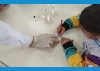 “QUÍMICA EN ACCIÓN: PROYECTO DE FORMACIÓN Y MOTIVACIÓN PARA ESTUDIANTES DE ESCUELAS RURALES E INTERURBANAS DE SAN LUIS”
