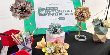 DEL PAPEL EN DESUSO A UNA NUEVA FORMA DE CREAR: LA ULP PROPONE APRENDER PAPIROFLEXIA Y REUTILIZAR MATERIALES