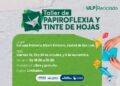 LA ULP ABRE LA INSCRIPCIÓN PARA UN TALLER GRATUITO DE PAPIROFLEXIA
