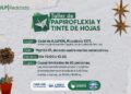 LOS TALLERES DE PAPIROFLEXIA SE EXTIENDEN POR SAN LUIS DE LA MANO DE LA ULP